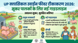 यूपी क्लासिकल स्वाईन फीवर टीकाकरण 2026: सूकर पालकों के लिए नई गाइडलाइन